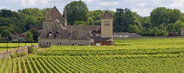 Réalisation Bordeaux séminaire d'entreprise