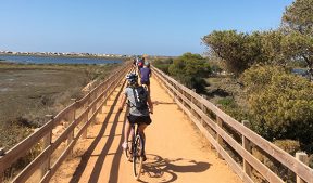 balade vela ria formosa